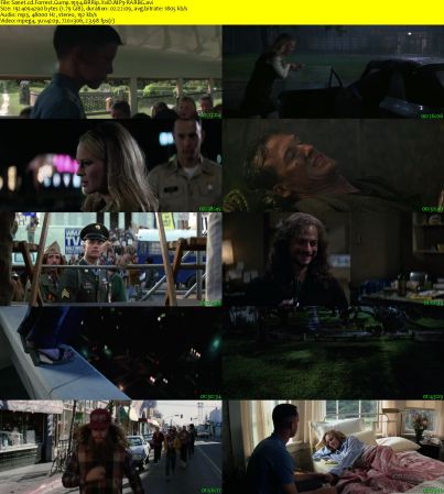 Forrest Gump 1994 BRRip XviD MP3-RARBG