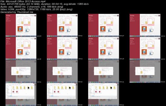 Microsoft Office 2013 Access