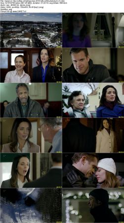 The Rooftop Christmas Tree 2016 HDTV x264-PLUTONiUM