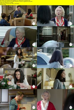 A Family for the Holidays 2017 1080p HDTV x264-W4F