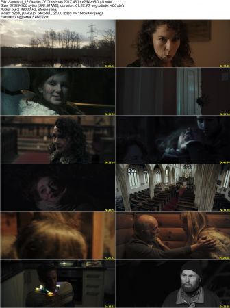12 Deaths Of Christmas 2017 480p x264-mSD
