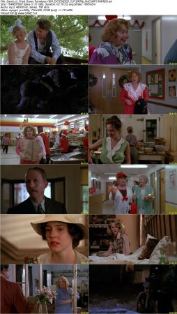 Fried Green Tomatoes 1991 EXTENDED CUT BRRip XviD MP3-RARBG