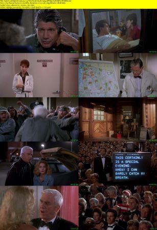 Naked Gun 33 1/3 The Final Insult 1994 BRRip XviD MP3-RARBG