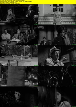 Cape Fear 1962 BRRip XviD MP3-RARBG