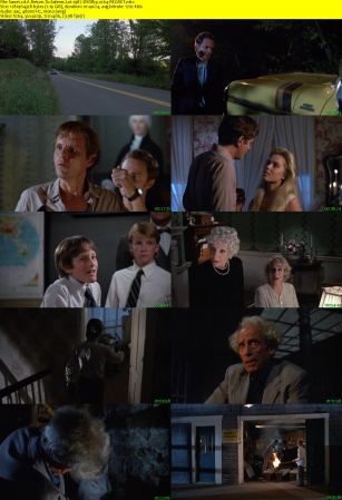 A Return To Salems Lot 1987 DVDRip x264-REGRET