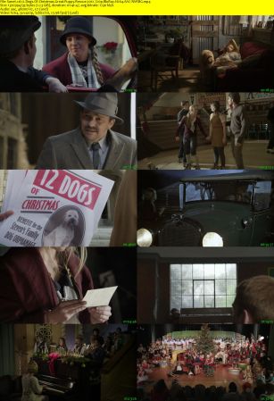 12 Dogs Of Christmas Great Puppy Rescue 2012 720p BluRay H264 AAC-RARBG
