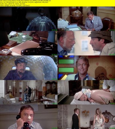 The Return of the Pink Panther 1975 BRRip XviD MP3-RARBG