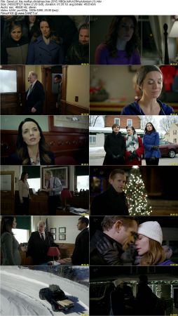 The Rooftop Christmas Tree 2016 1080p HDTV H264-PLUTONiUM