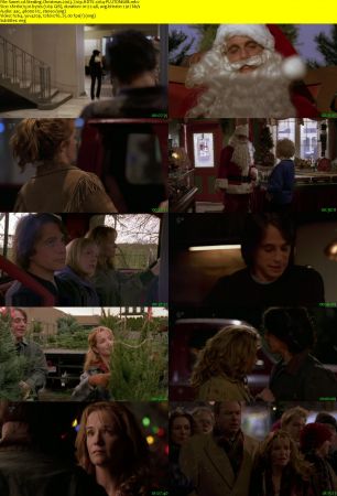 Stealing Christmas 2003 720p HDTV x264-PLUTONiUM