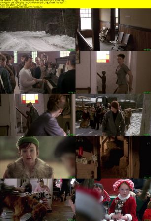 12 Dogs Of Christmas 2005 720p BluRay H264 AAC-RARBG