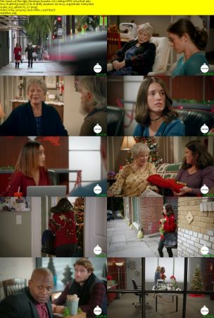 The Ugly Christmas Sweater 2017 1080p HDTV x264-W4F