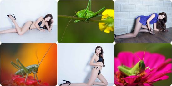 Insect Macro &amp; Models Leg Wallpaper