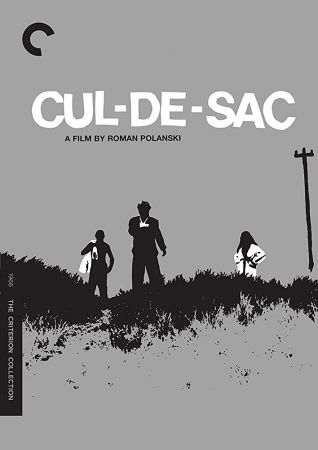 Cul-de-sac 1966 BRRip XviD MP3-RARBG