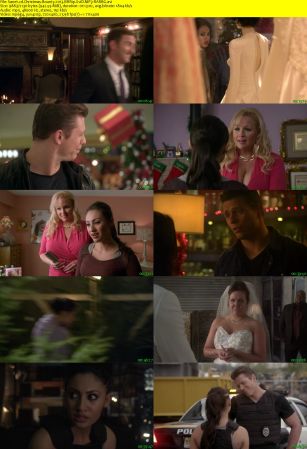 Christmas Bounty 2013 BRRip XviD MP3-RARBG