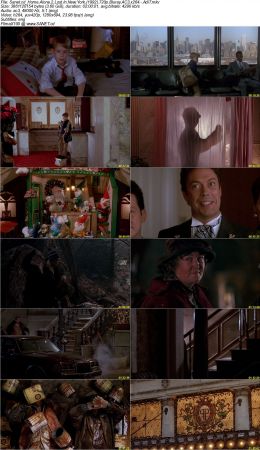 Home Alone 2 Lost In New York 1992 720p Bluray AC3 x264 AdiT