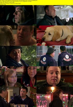 The Dog Who Saved Christmas 2009 iNTERNAL HDTV x264-PLUTONiUM
