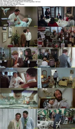 The In Laws 1979 BRRip XviD MP3-RARBG