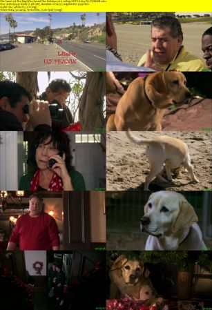 The Dog Who Saved The Holidays 2012 1080p HDTV h264-PLUTONiUM