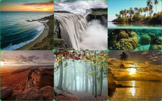 Long Life Wallpaper Nature