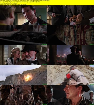 Indiana Jones And The Last Crusade 1989 1080p BluRay H264 AAC-RARBG