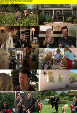 A Christmas Wedding Tail 2011 1080p HDTV h264-PLUTONiUM