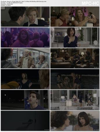 Rough Night 2017 MULTi 2160p UHD BluRay x265-OohLaLa