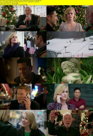 A Christmas In Vermont 2016 1080p HDTV h264-PLUTONiUM