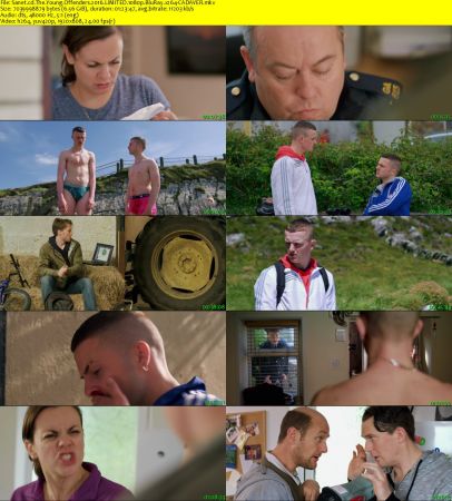 The Young Offenders 2016 LIMITED 1080p BluRay x264-CADAVER