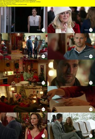 Snowed Inn Christmas 2017 HDTV x264-CRiMSON