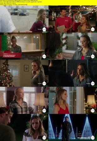 Christmas in Mississippi 2017 HDTV x264-CRiMSON