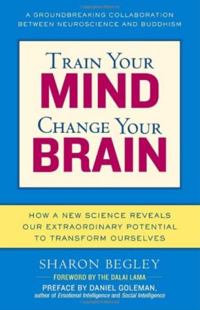 Train Your Mind, Change Your Brain