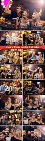 Group of friends enjoying drink in bar