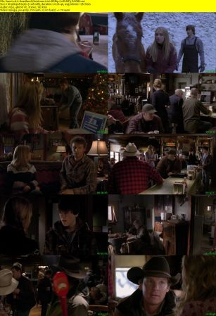 A Heartland Christmas 2010 BRRip XviD MP3-RARBG