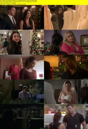 Christmas Bounty 2013 1080p BluRay H264 AAC-RARBG