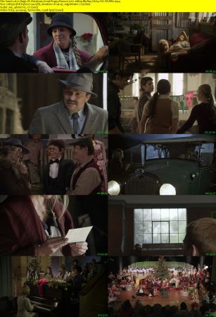12 Dogs Of Christmas Great Puppy Rescue 2012 1080p BluRay H264 AAC-RARBG