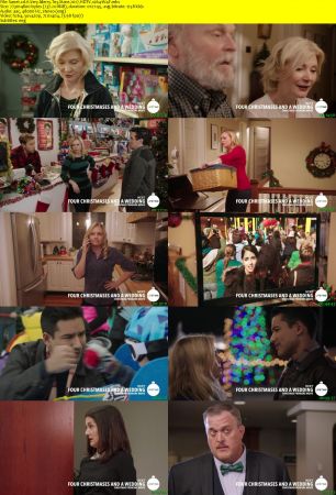 A Very Merry Toy Store 2017 HDTV x264-W4F