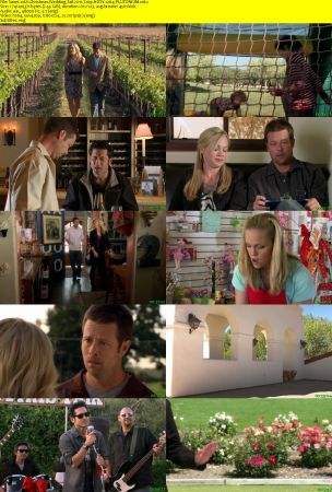 A Christmas Wedding Tail 2011 720p HDTV x264-PLUTONiUM