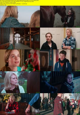 Christmas Ranch 2016 1080p AMZN WEB-DL DDP2.0 H264-monkee