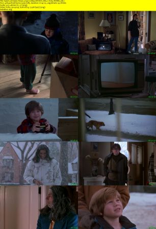 Home Alone 3 1997 1080p WEB-DL DD5.1 H264-RARBG