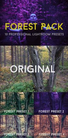 Forest Pack 10 Professional Lightroom Presets 21133049