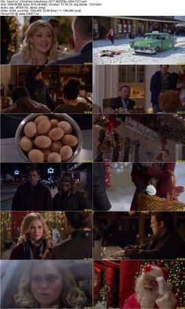 Christmas Inheritance 2017 WEBRip x264-FGT