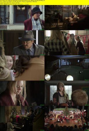 12 Dogs Of Christmas Great Puppy Rescue 2012 BRRip XviD MP3-RARBG