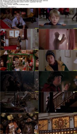 Home Alone 2 Lost In New York 1992 1080p Bluray AC3 x264 AdiT