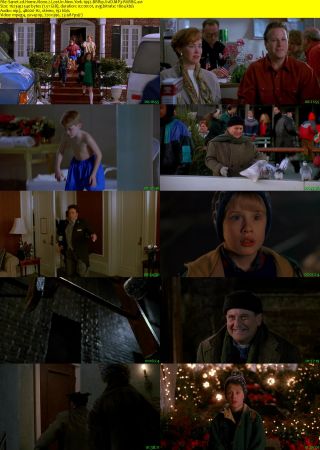 Home Alone 2 Lost In New York 1992 BRRip XviD MP3-RARBG