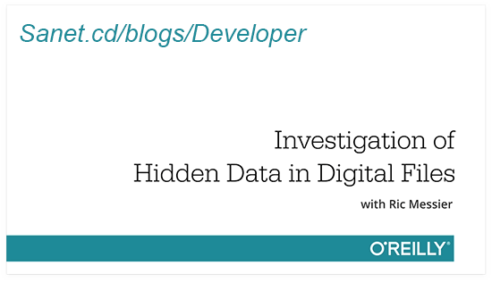Investigation of Hidden Data in Digital Files