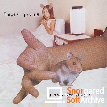 Sonic Youth - A Thousand Leaves (2016) Hi-Res