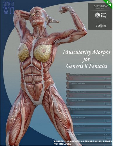 Muscularity Morphs for Genesis 8 Female(s) 