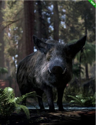 Wild Boar by AM 