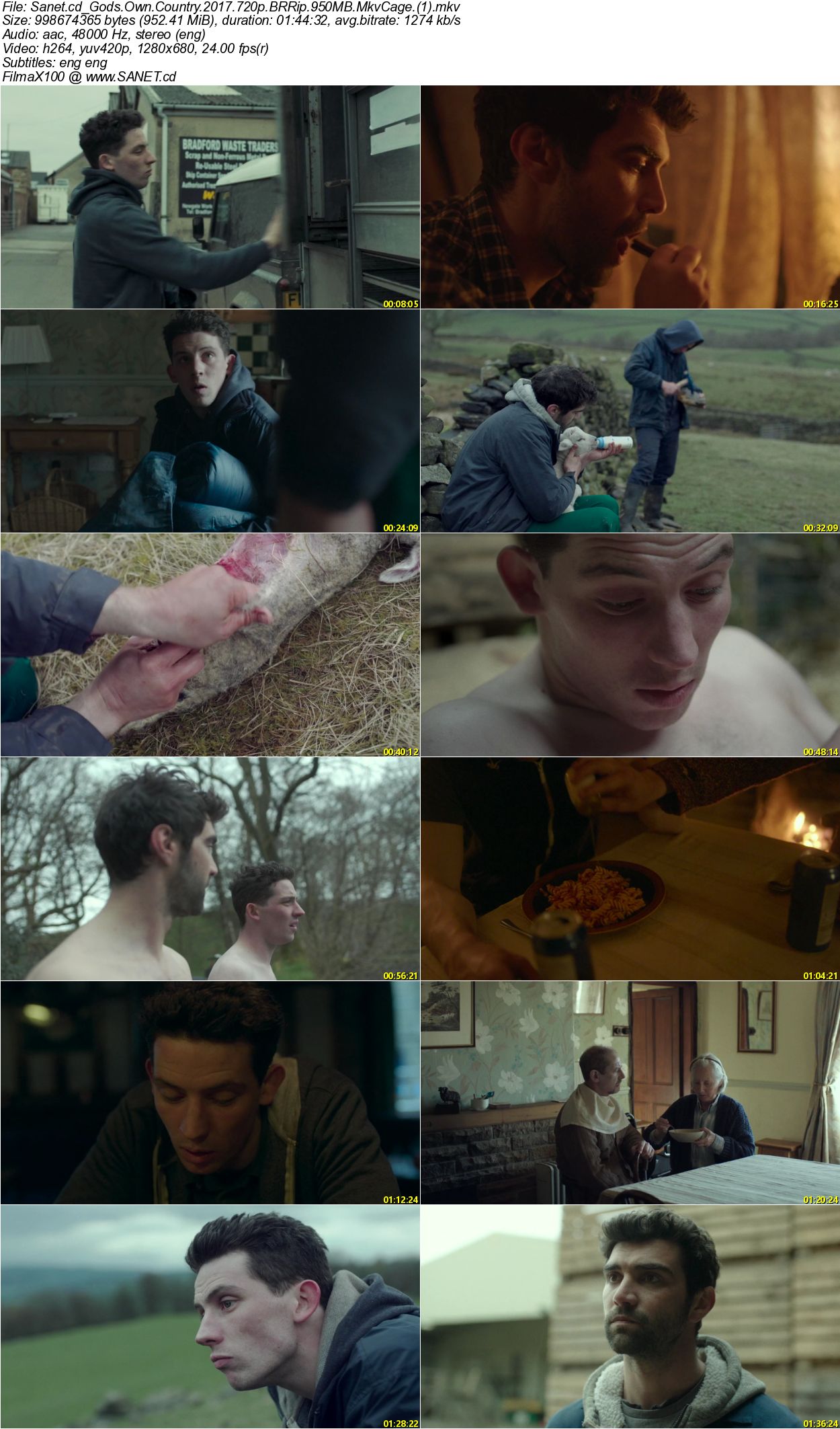 Другая страна 2017. God's own Country 2017. Berala Gods own Country.