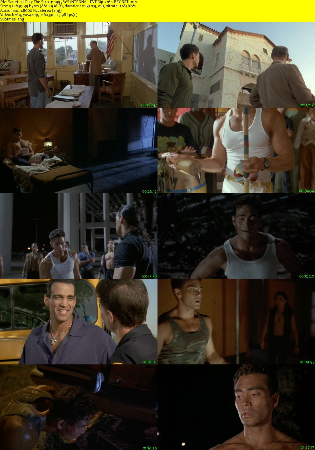 only the strong mark dacascos free download